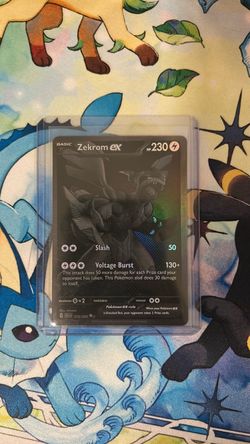 Black Zekrom BB