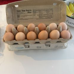 2 Dozen Farm Fresh Free Range Eggs 