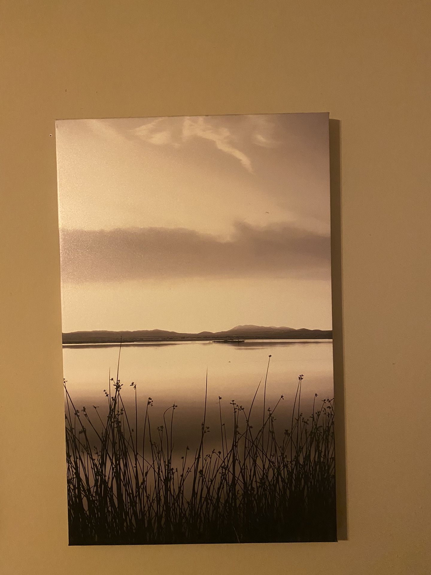 Three Wall Paintings That Are 1 ($55 )