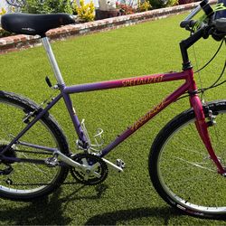 Specialized Hard Rock Ultra