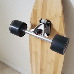 Skateboard Patineta