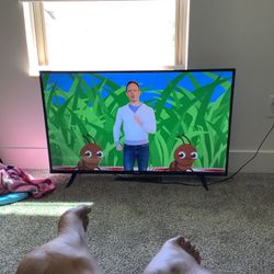 43” Roku TV 