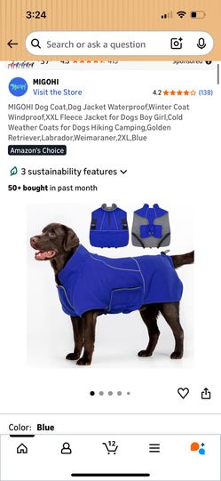 Xl Dog Outfit For The Winter