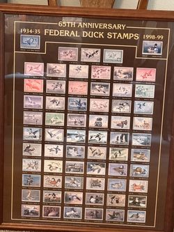 65th Anniversary Federal Duck Stamps Framed Print 1934–1999