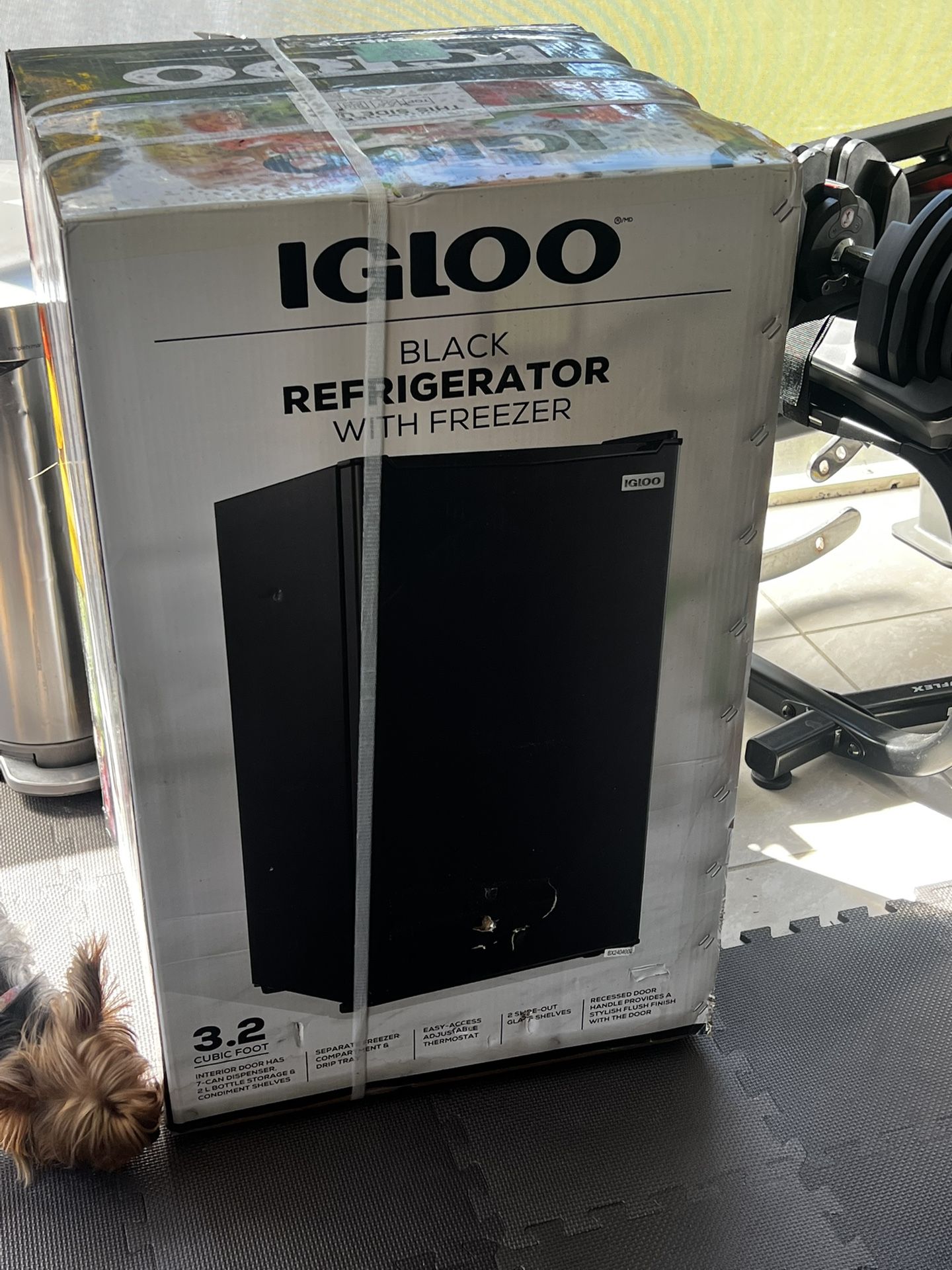 Igloo 3.2 Pied Cube Mini Fridge