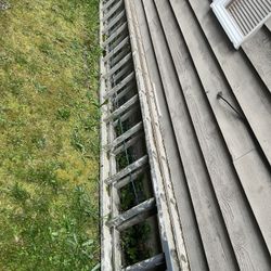 Construction Ladder 32