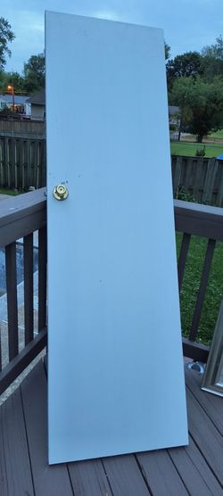 Bathroom door 24"