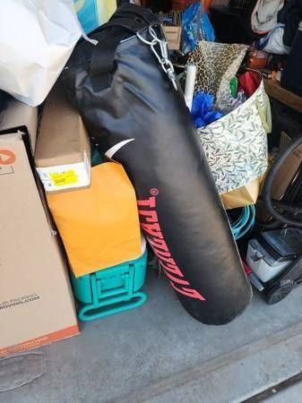 Everlast Punching/Boxing Heavy Bag