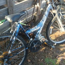 Two Bicycles One Is A Original Schwinn The Other Is A Mirage