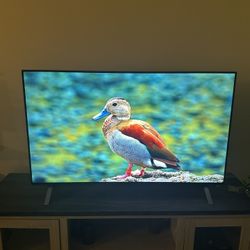 LG 49” 4K 120Hz Smart TV (NanoCell) – Remote Included