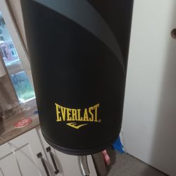 25$ Everlast Punching Bag