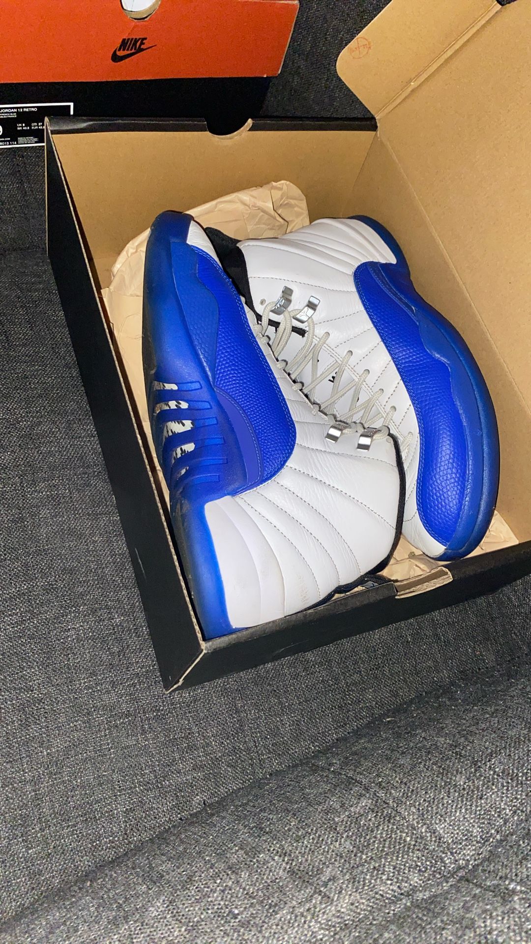 blueberry Jordan 12