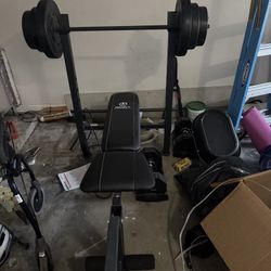 Work Out Bench