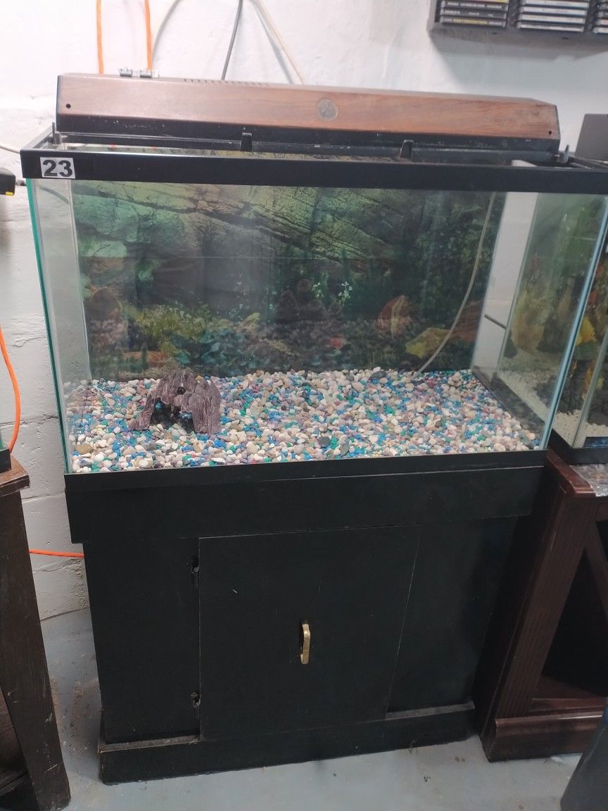 Fish Tank & Stand