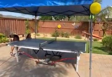 Ping Pong Table