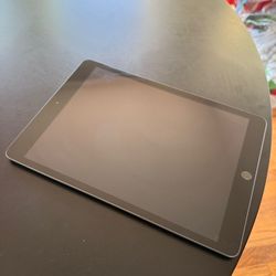 iPad 8