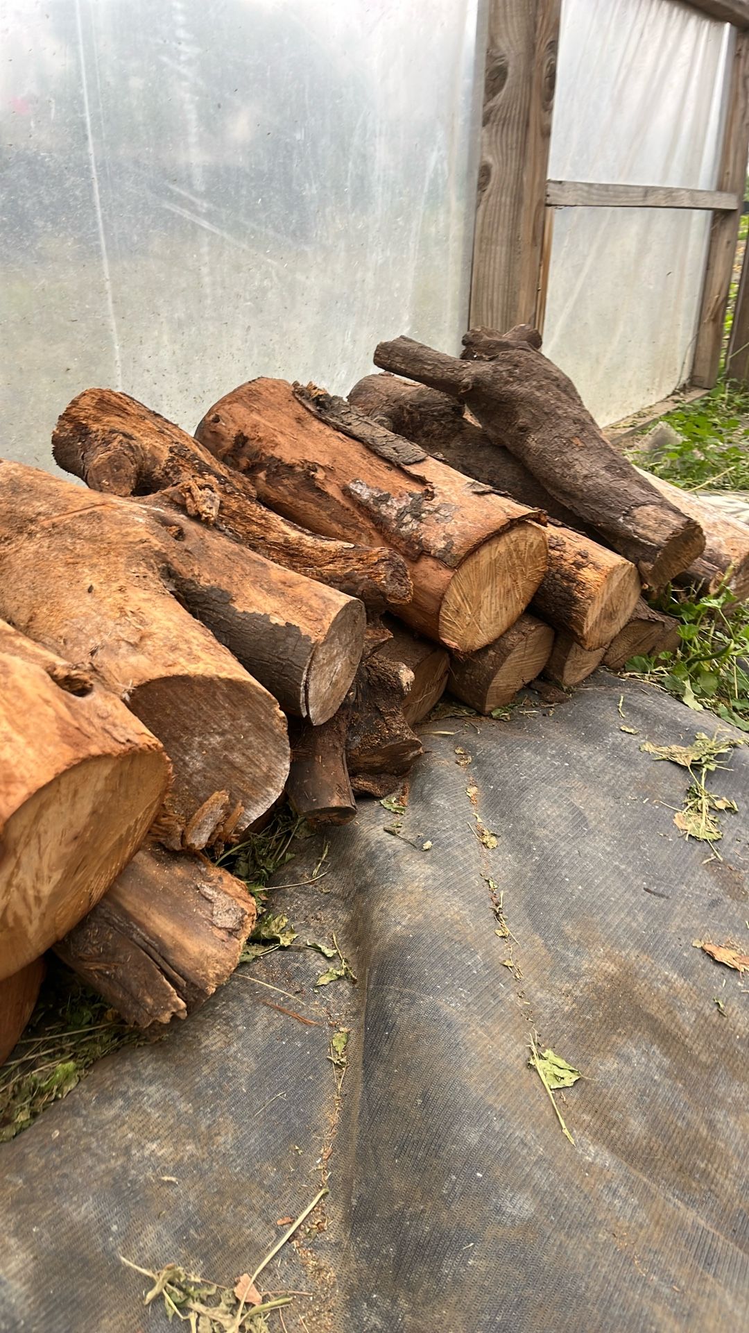 Firewood