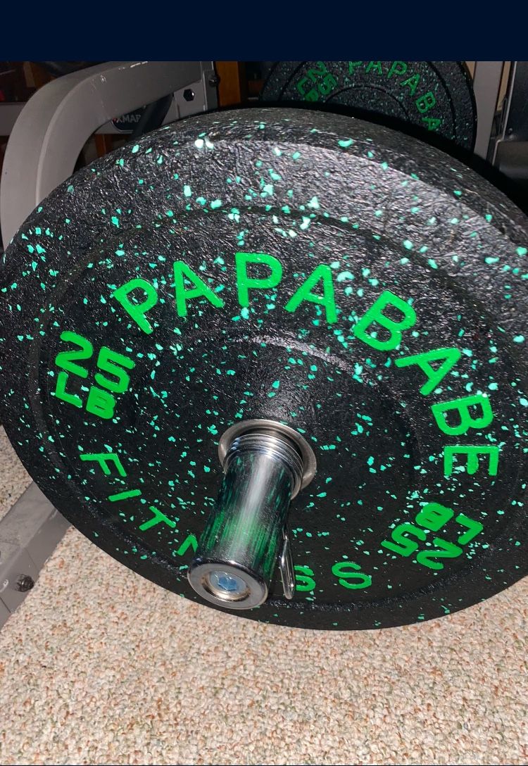 25lb Bumper Plates Only