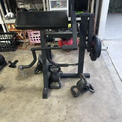 Curl Station With Incline/decline Bench