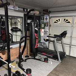 Everlast 100 Pound Punching Bag With Stand