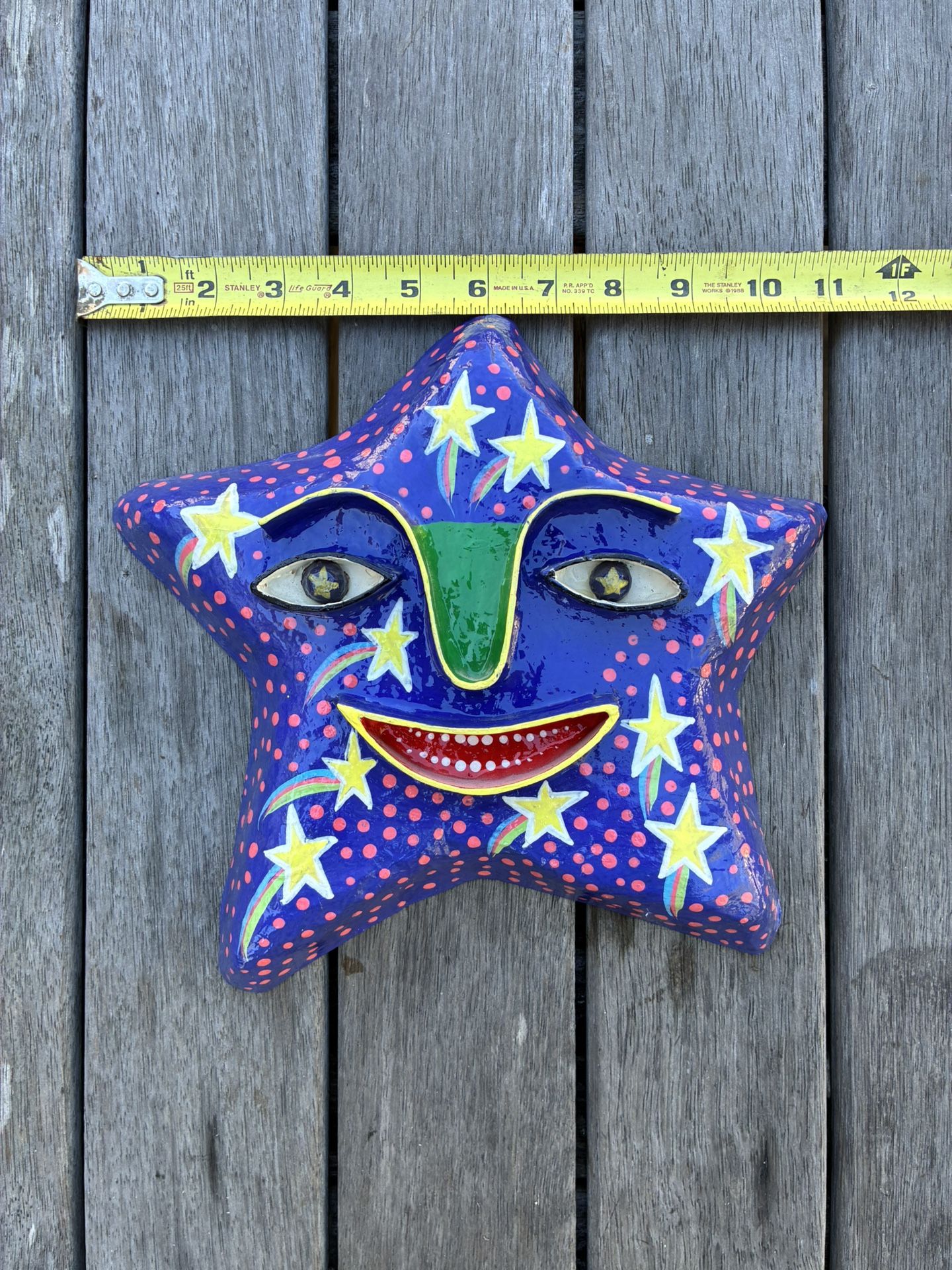 San Diego Zoo Star Mask