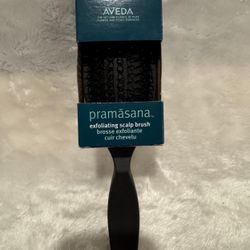 Aveda pramasana exfoliating scalp brush