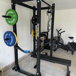 Rogue RML-390F with Safety Strap and 4x Weight Horns