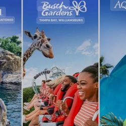 Seaworld Tickets 