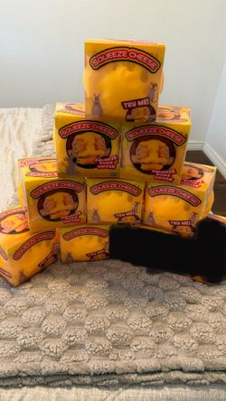 Brand New Cheese Squishy