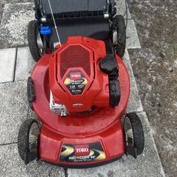 Toro 22 