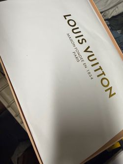 Louis Vuitton skate shoes