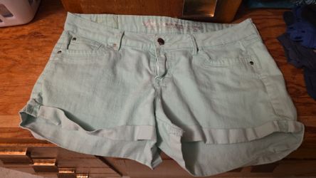 Express Brand shorts