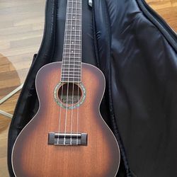 Ukulele 
