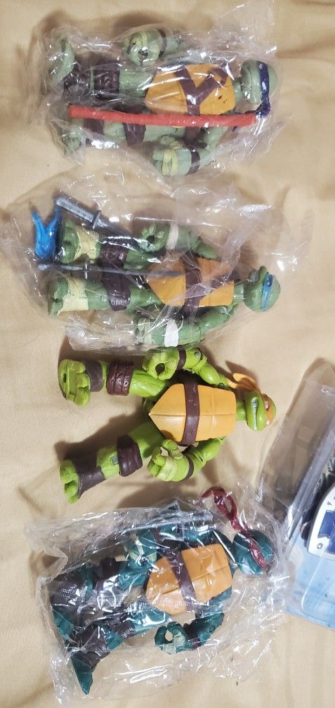  turtle