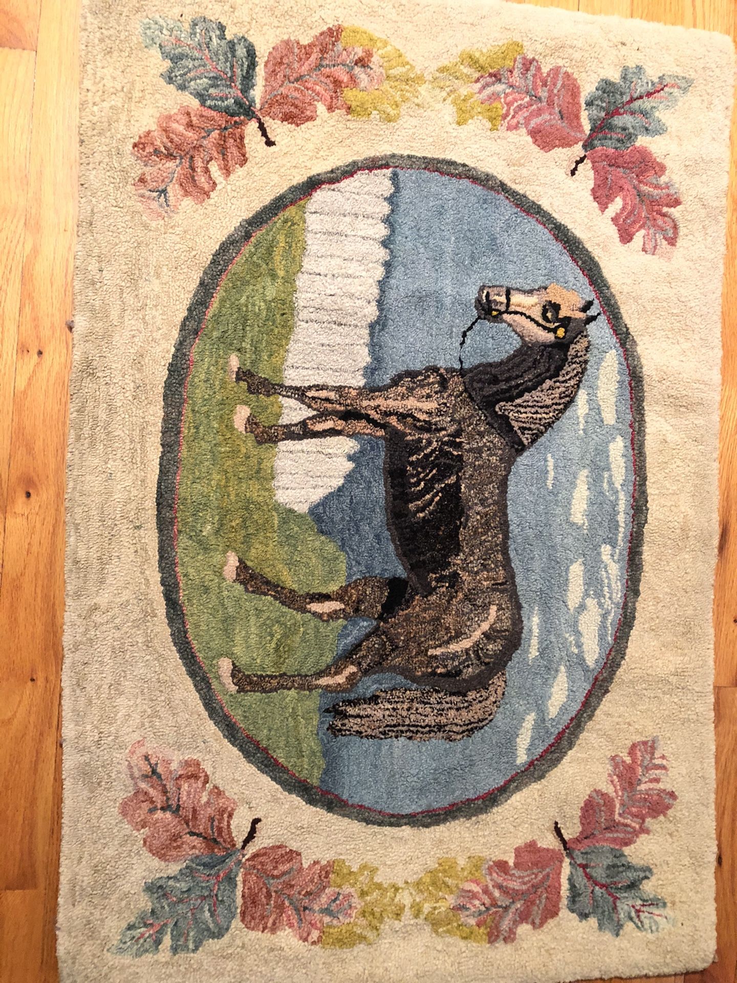 Antique Hooked Rug Unusual