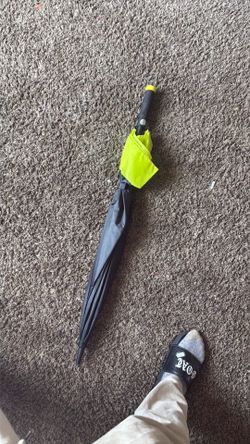 umbrella