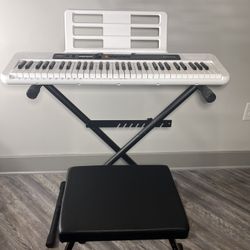 Casio Keyboard, Stand And Bench