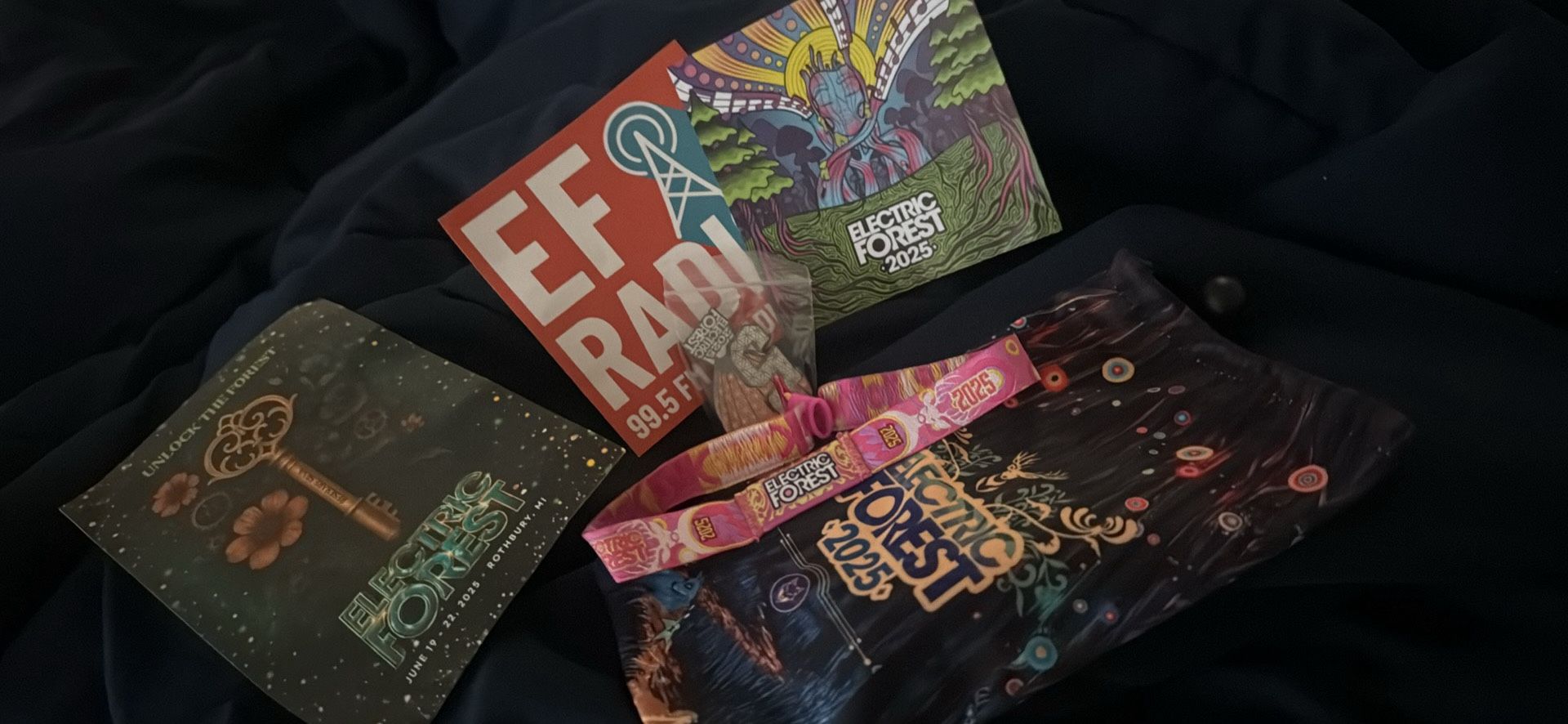 Electric Forest Ticket