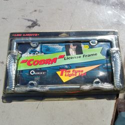 License Frame 