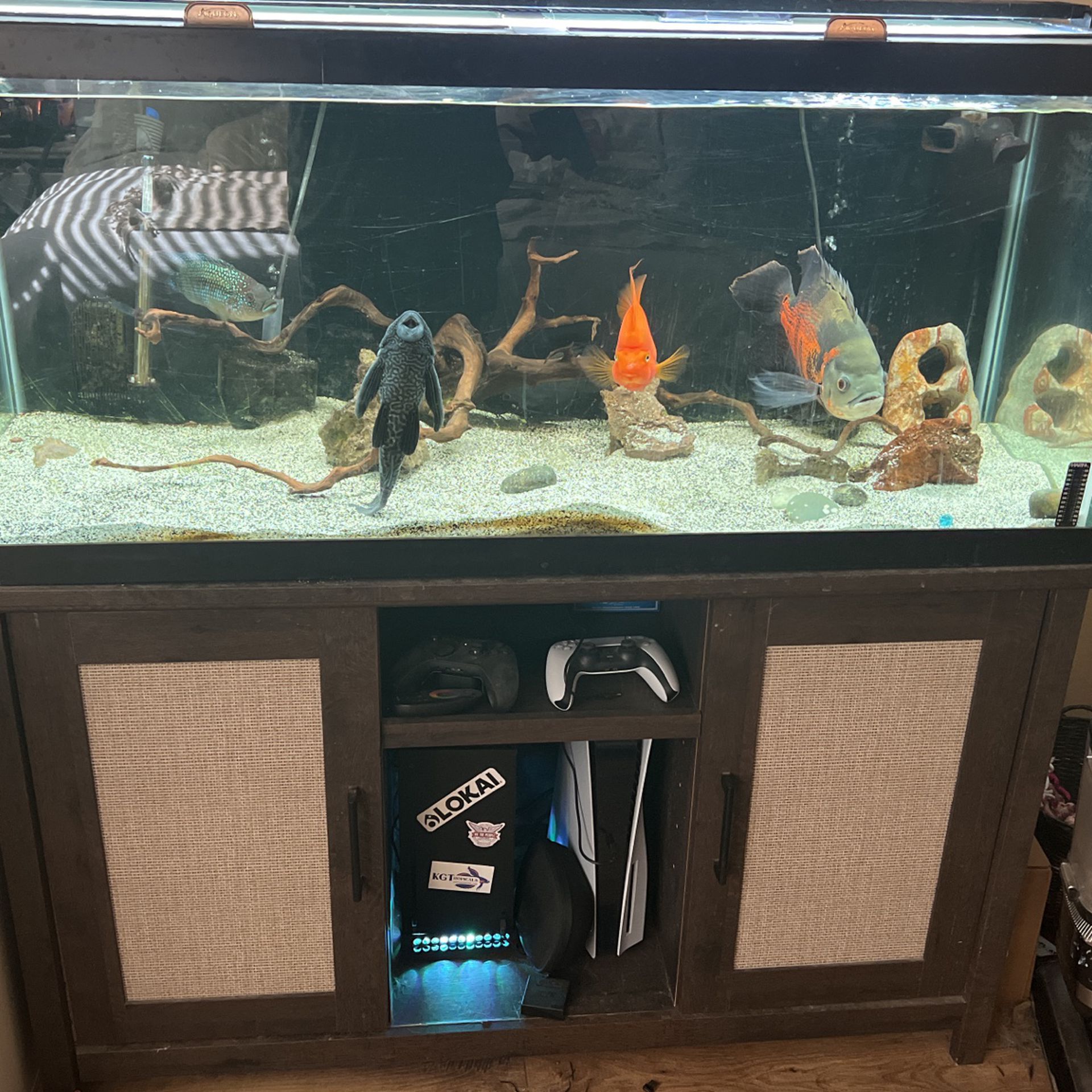 75 Gallon Freshwater Aquarium With Stand