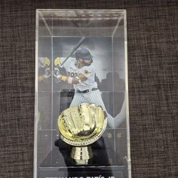 Fernando Tatis Jr. Baseball Display