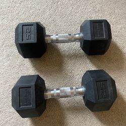 25lbs Rubber Dumbbells 