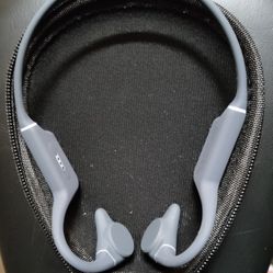Wildhorn Crank Sport Bone Conduction Headphones