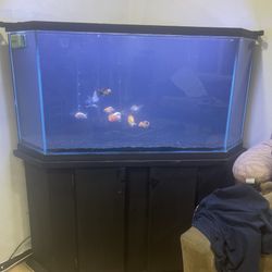 90-100g Corner Glass Tank And Stand 