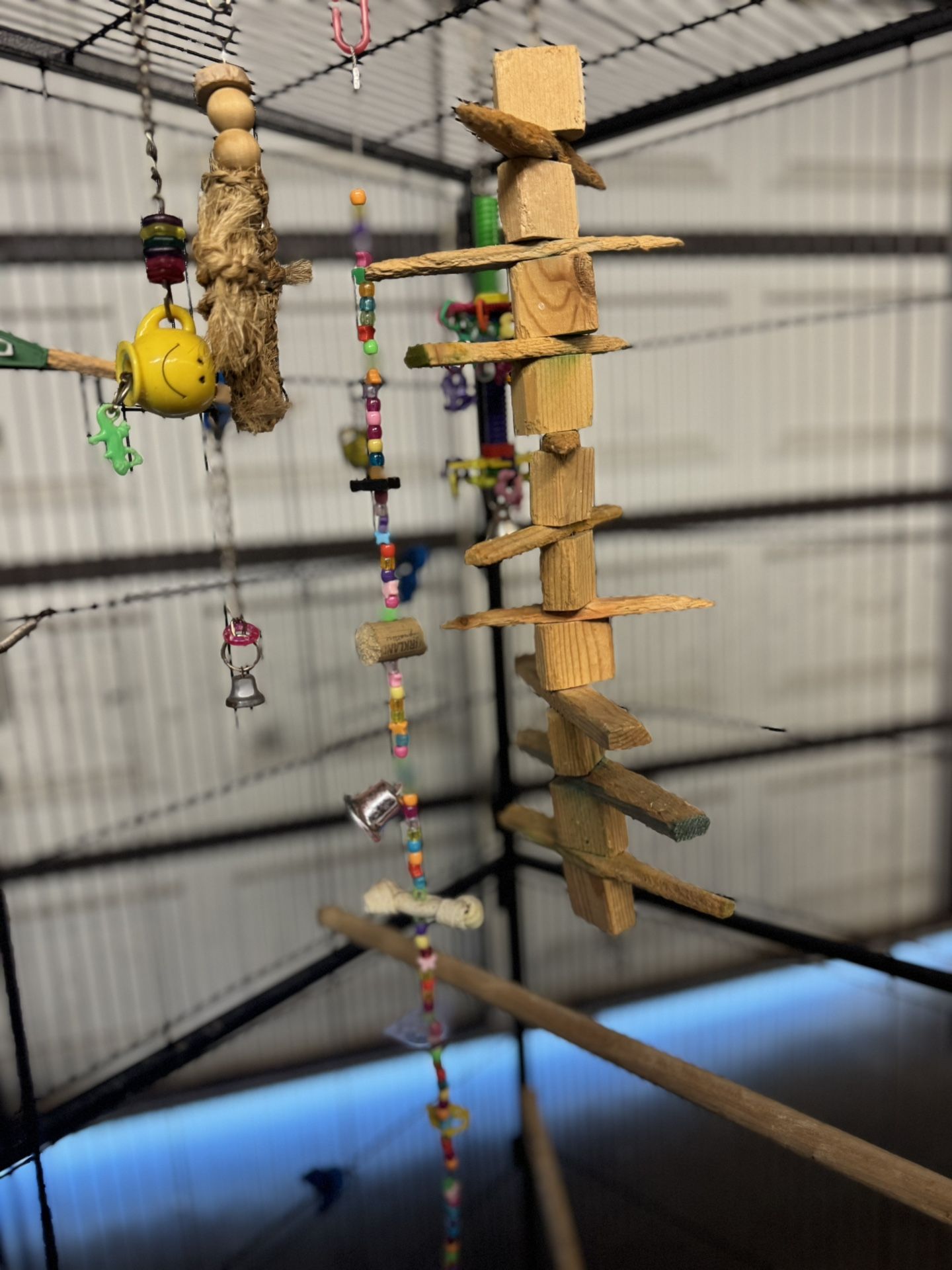 Bird Accessories $15 For All
