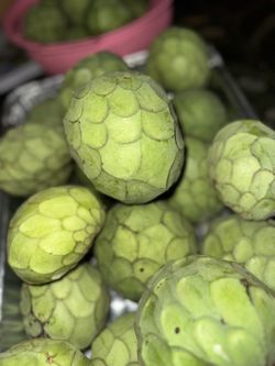 Fresh Cherimoya Fruits For 7$