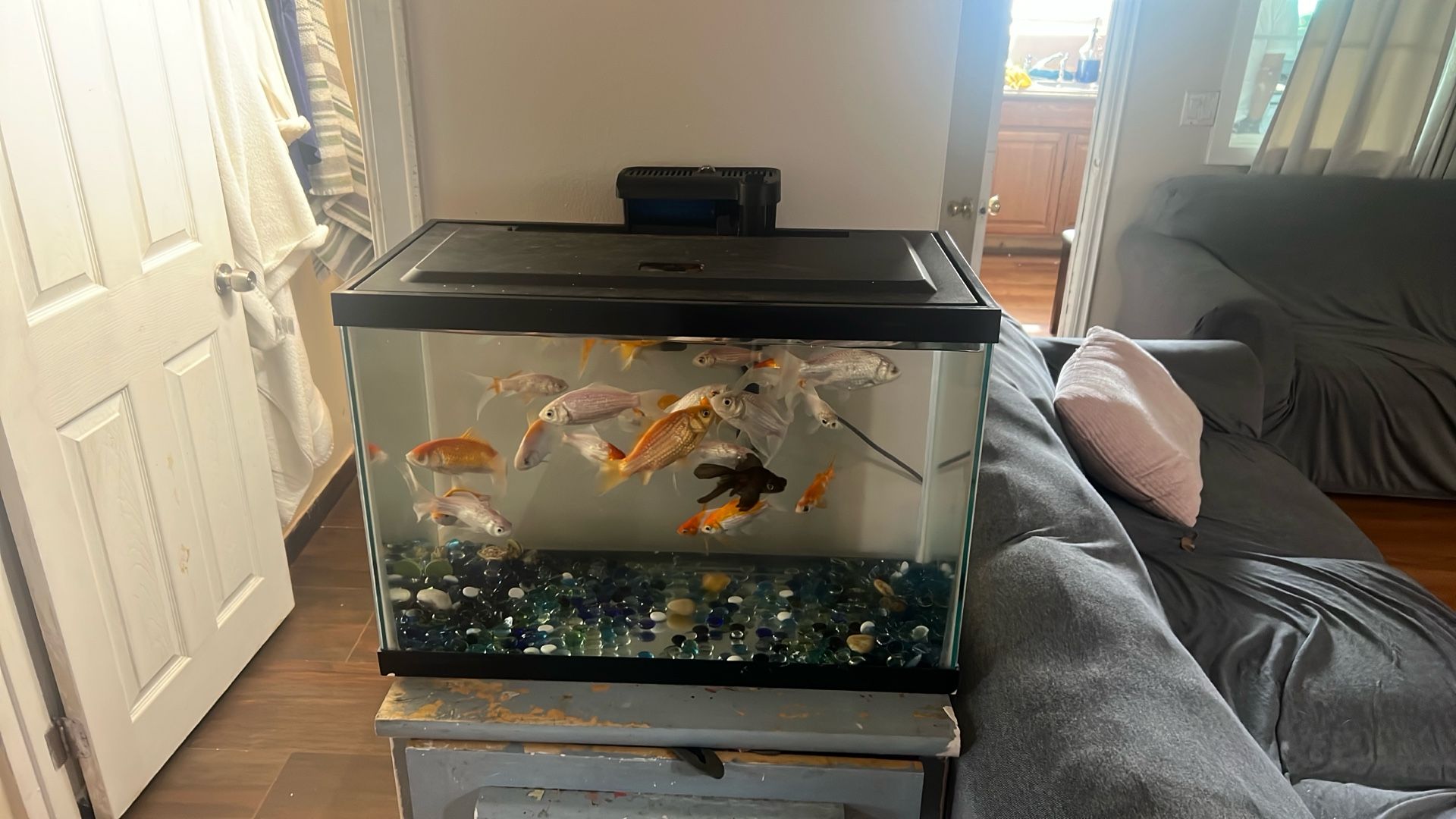 Fish Tank