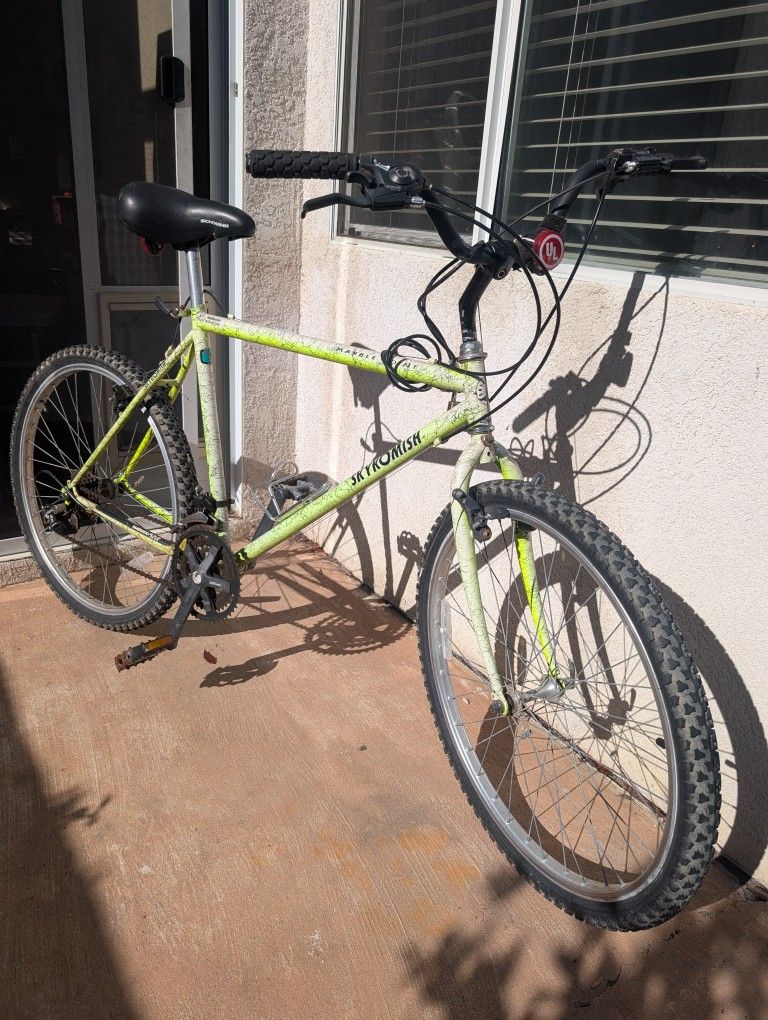 Mountain Bike 21 Speed Quick release & Light