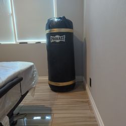 PROFESSIONAL Boxing Heavy Bag (155lbs)