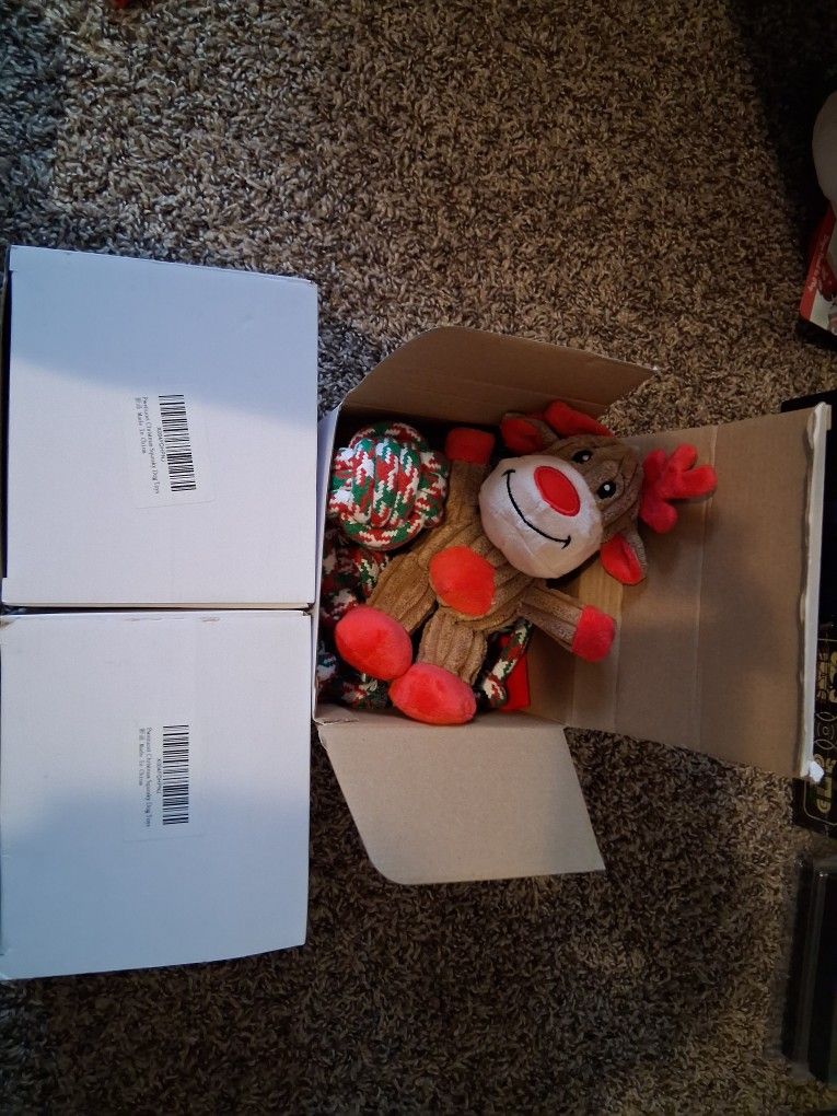 Doggie Toys Present Boxes